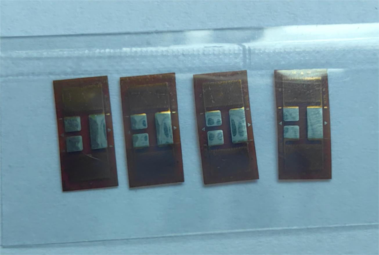 金屬應(yīng)變片實物圖